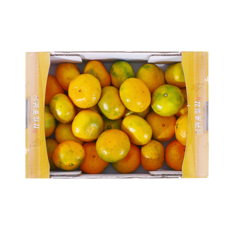 제주 온주 밀감 5kg